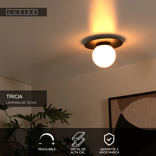 Lucide TRICIA - Lámpara de techo - Ø 25 cm - 1xE27 - Negro - USP